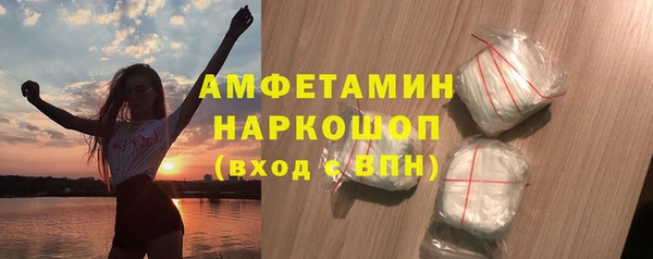 гидра Абаза