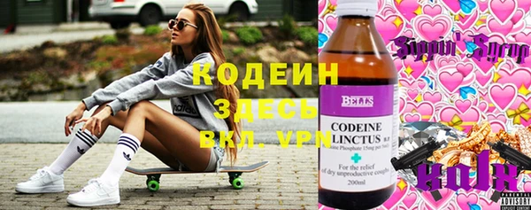гидра Абаза