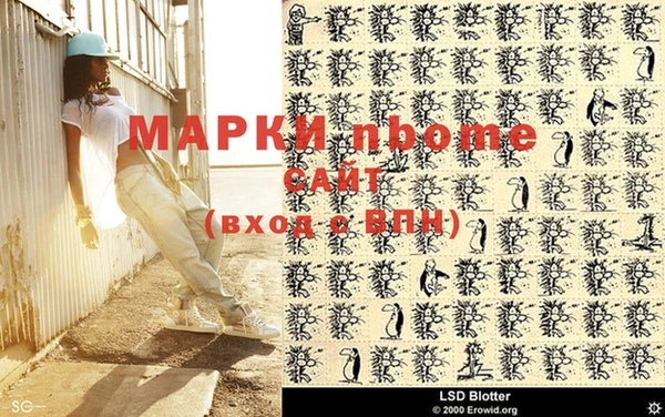 индика Алексин