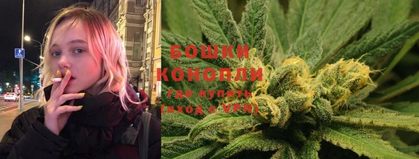 гидра Абаза