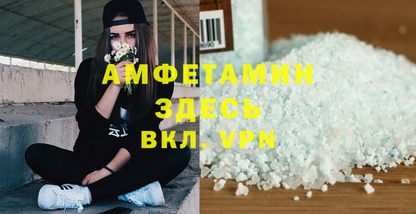 гидра Абаза