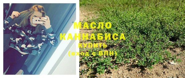 гидра Абаза