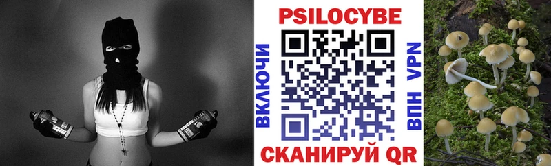 Псилоцибиновые грибы ЛСД Приволжский